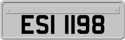 ESI1198