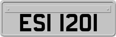 ESI1201