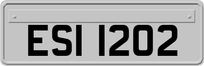 ESI1202