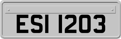 ESI1203