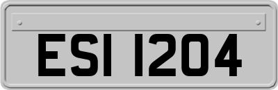 ESI1204
