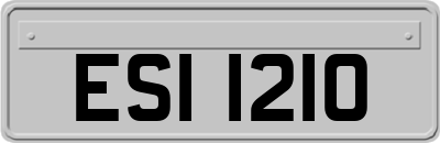 ESI1210