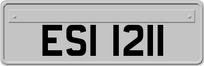 ESI1211