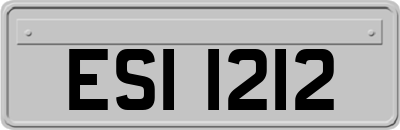 ESI1212