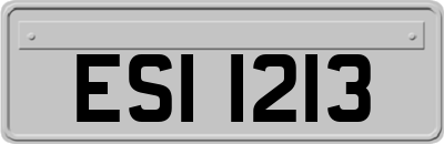 ESI1213