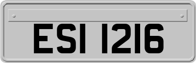 ESI1216
