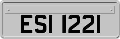 ESI1221