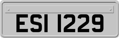 ESI1229