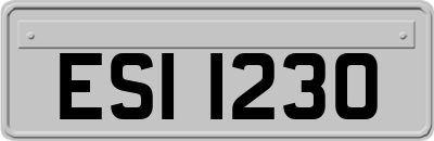 ESI1230