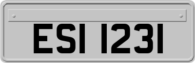 ESI1231