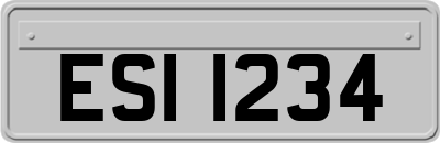 ESI1234