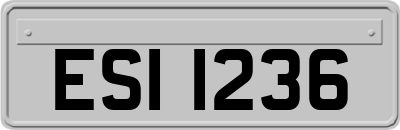 ESI1236