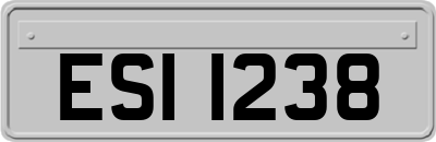 ESI1238