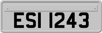 ESI1243