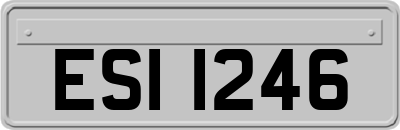 ESI1246