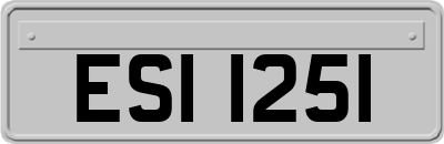 ESI1251