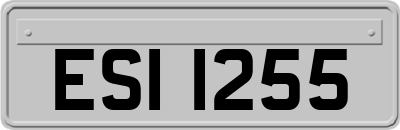ESI1255