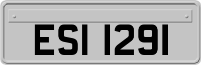 ESI1291