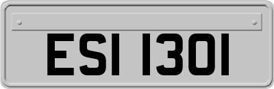 ESI1301