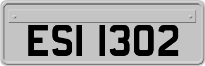 ESI1302