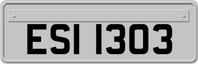 ESI1303