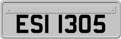 ESI1305