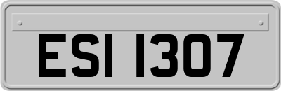 ESI1307