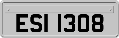 ESI1308