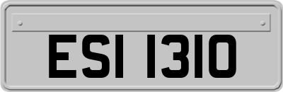 ESI1310