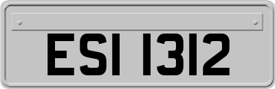 ESI1312