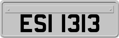 ESI1313
