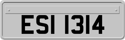 ESI1314