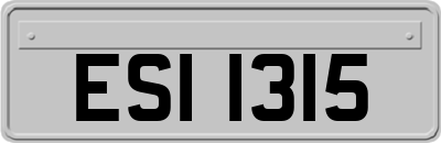 ESI1315