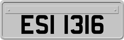 ESI1316