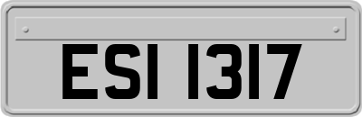 ESI1317