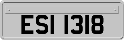 ESI1318