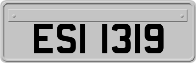 ESI1319