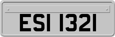 ESI1321