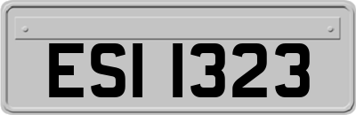ESI1323
