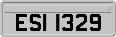 ESI1329