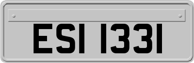 ESI1331