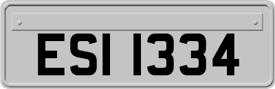 ESI1334