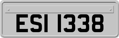 ESI1338