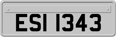 ESI1343