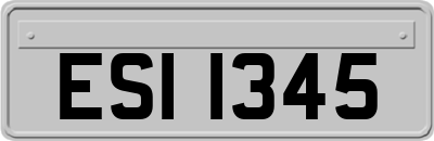 ESI1345