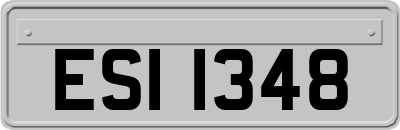 ESI1348
