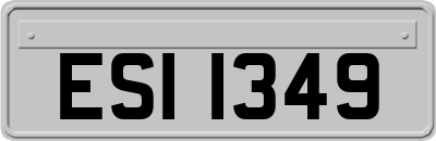 ESI1349