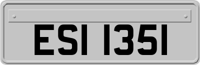ESI1351