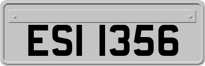 ESI1356
