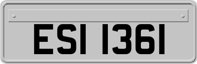 ESI1361